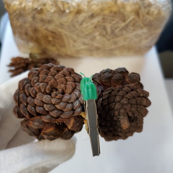 Natural Unscented Wooded Pinecone Clip Ornaments – Holiday Décor – Set of (2) - Picture 5 of 7
